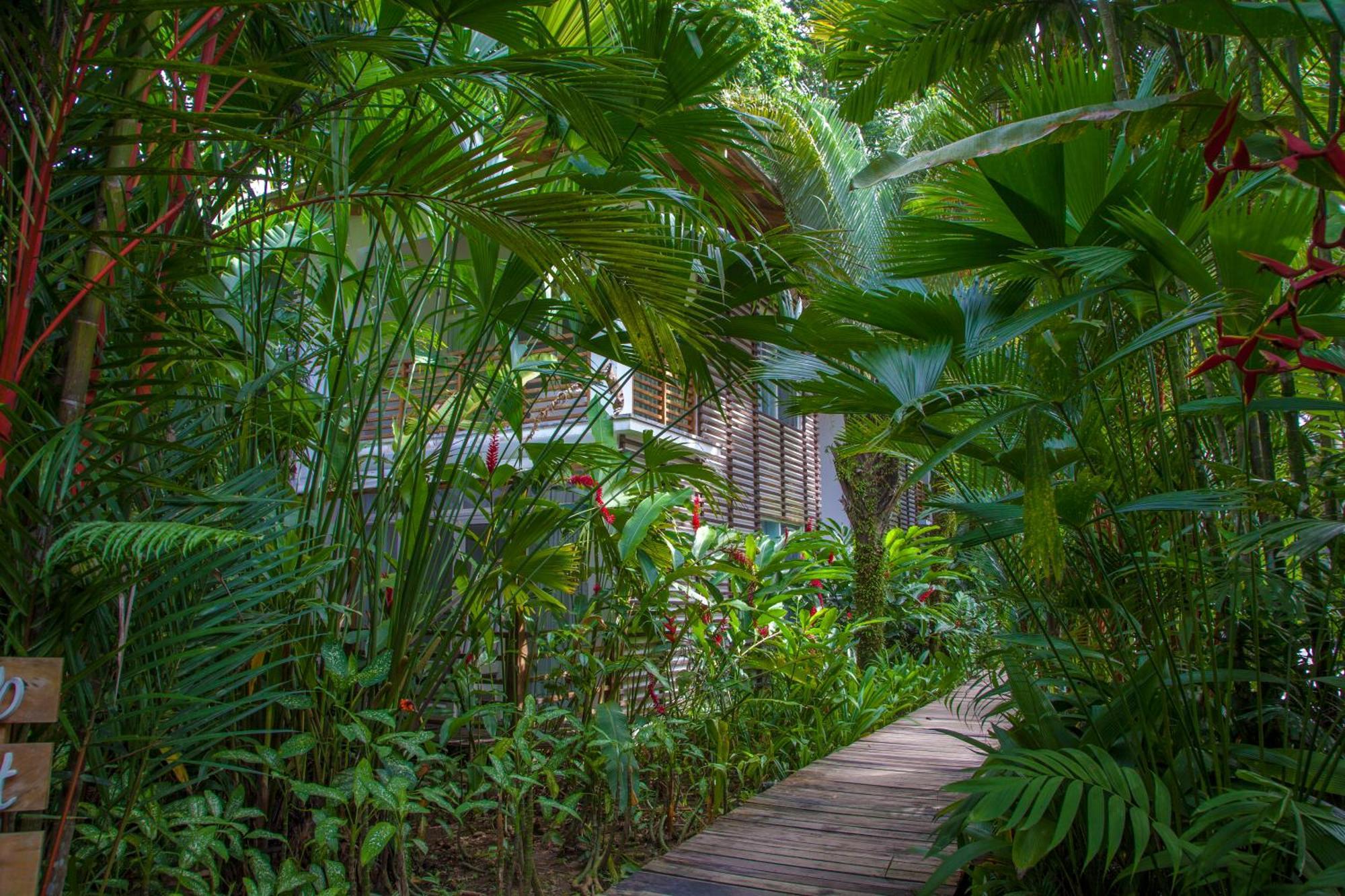 Le Cameleon Boutique Hotel Puerto Viejo de Talamanca Εξωτερικό φωτογραφία