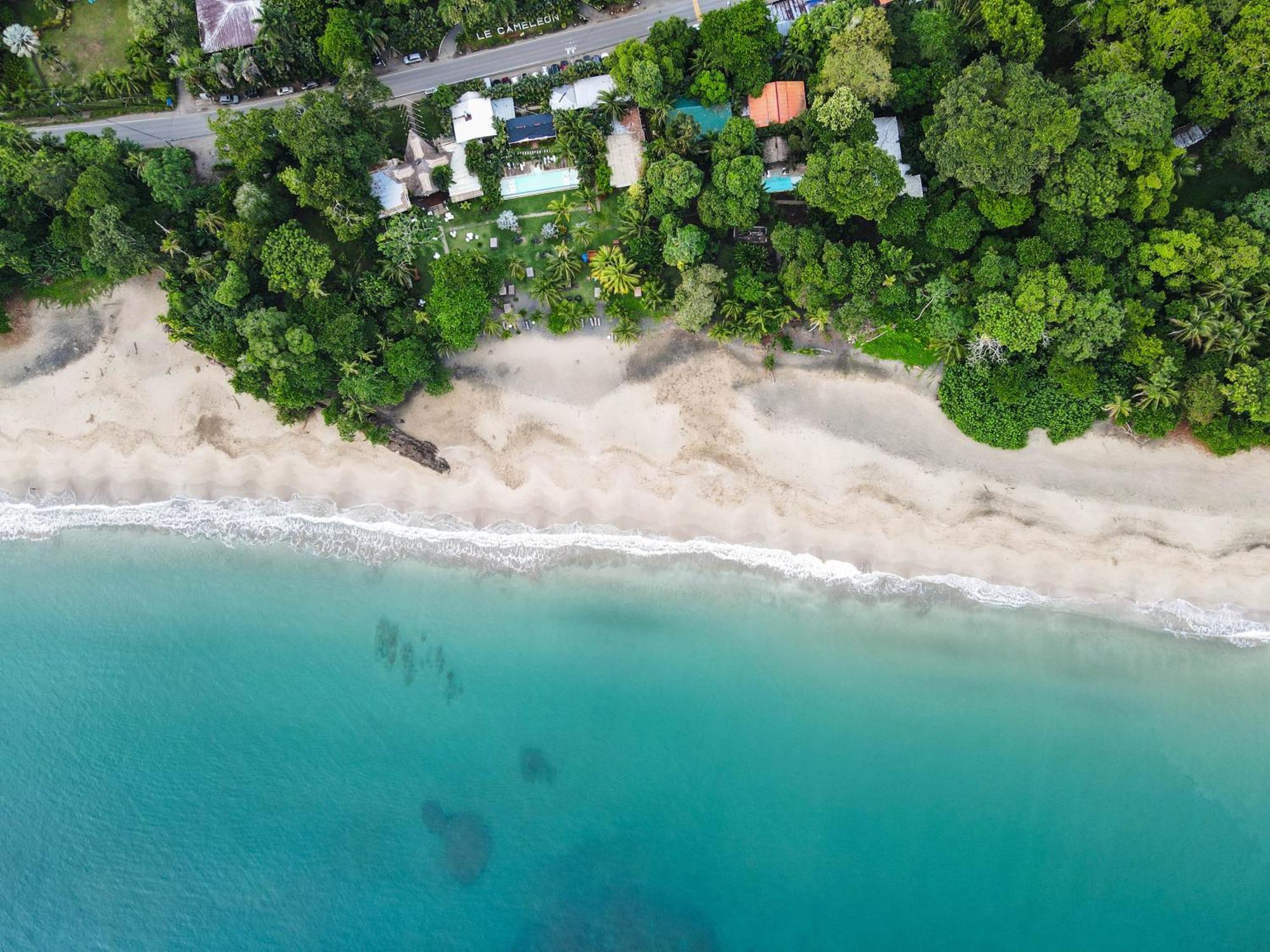 Le Cameleon Boutique Hotel Puerto Viejo de Talamanca Εξωτερικό φωτογραφία
